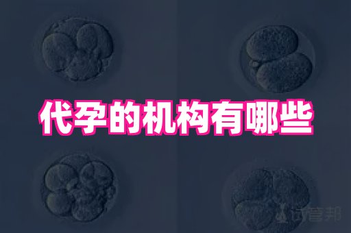 梦美助孕网 4